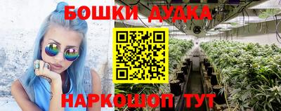 шишки Дубна