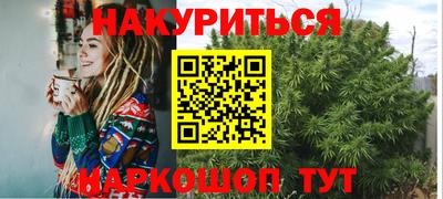 шишки Дубна