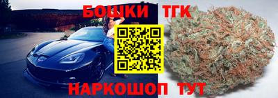 шишки Дубна