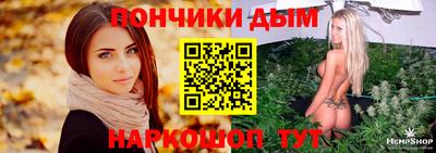 шишки Дубна