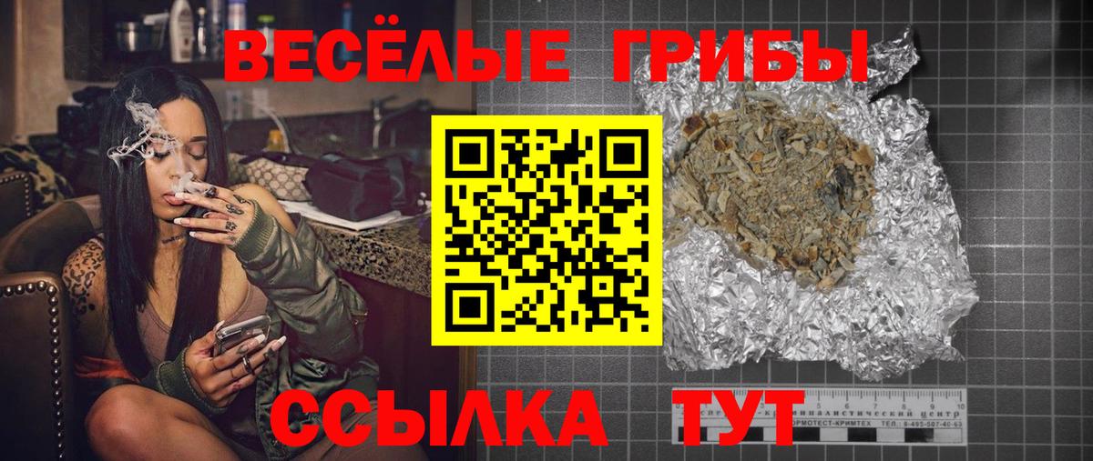 Псилоцибиновые грибы Cubensis  Псилоцибиновые грибы Cubensis  Вход с VPN  Волхов 